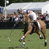 Polo, Commercial Wedding Photographers: Photoscience.co.uk